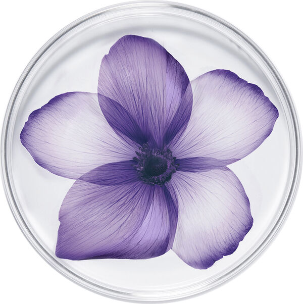 Rénergie Multi-Lift Night Cream