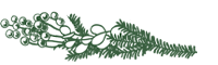 text