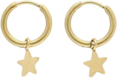 My Jewellery Small Hoop Earrings With Star Charm Dam Creoler Stl. NO_SIZE - Från Magasin